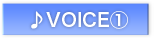 VOICE@