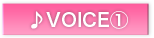 VOICE@