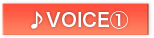 VOICE@