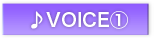 VOICE@